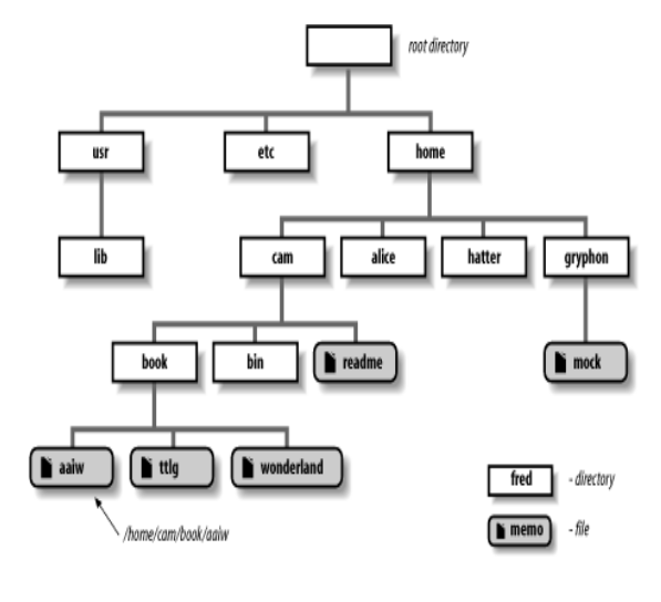 File System Hierarchy
