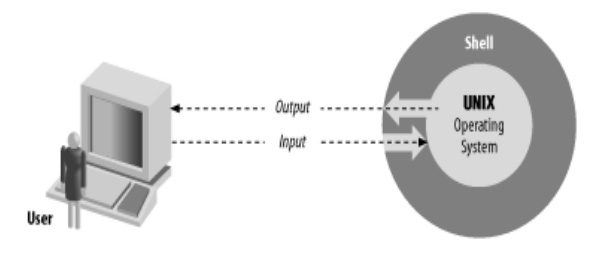 user shell and os relation